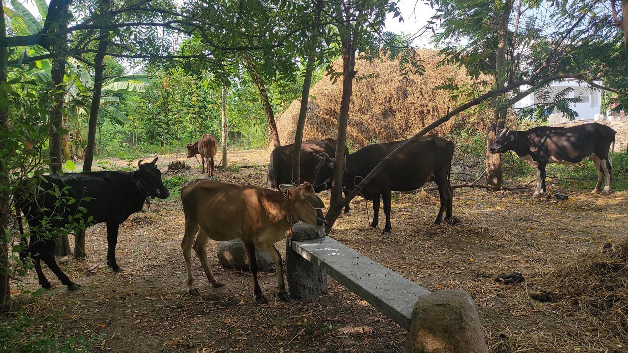 Vaksana Farm Stay Gudraippattu エクステリア 写真