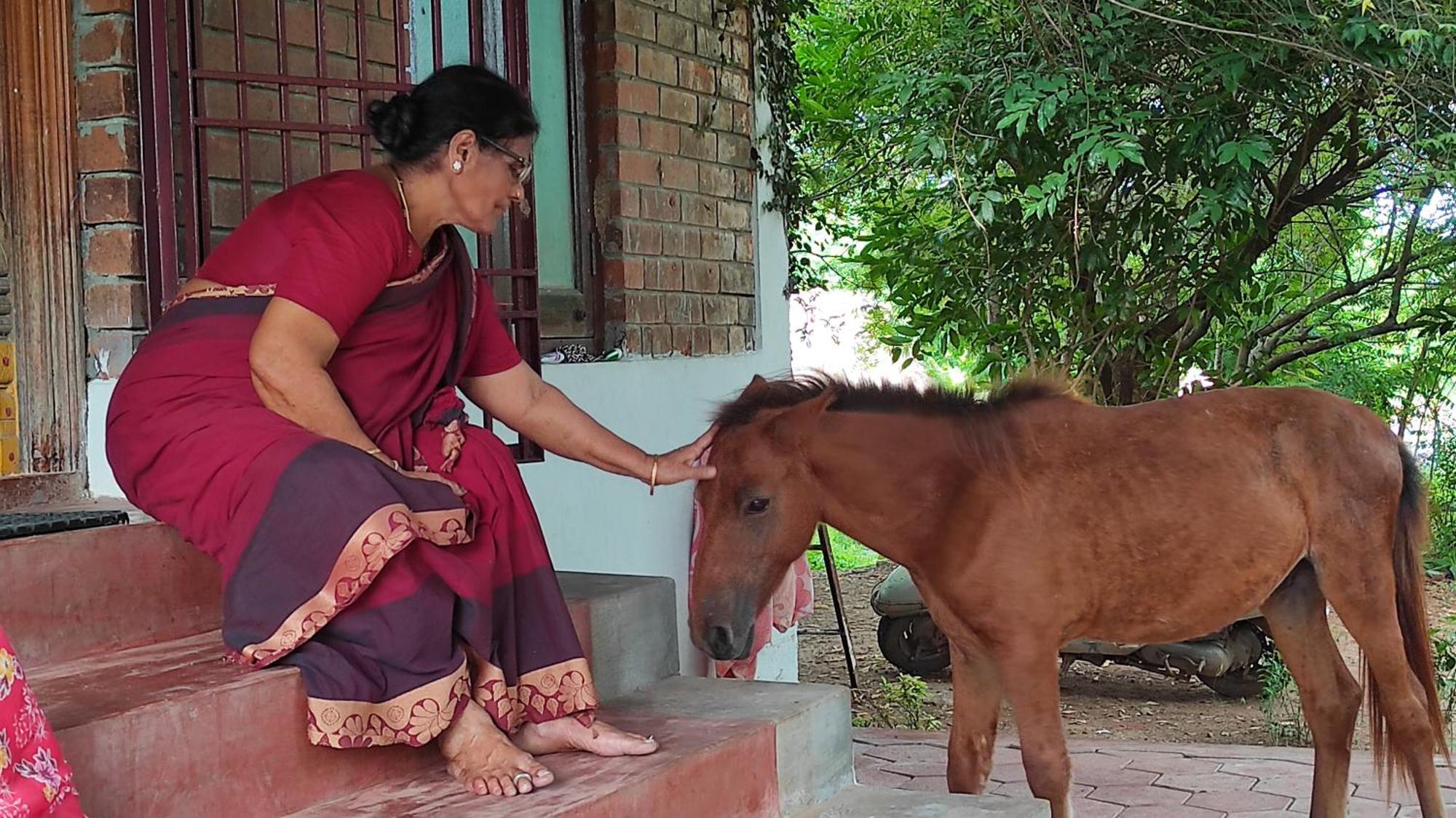 Vaksana Farm Stay Gudraippattu エクステリア 写真